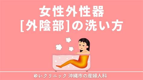 女孩陰毛|女性の外性器